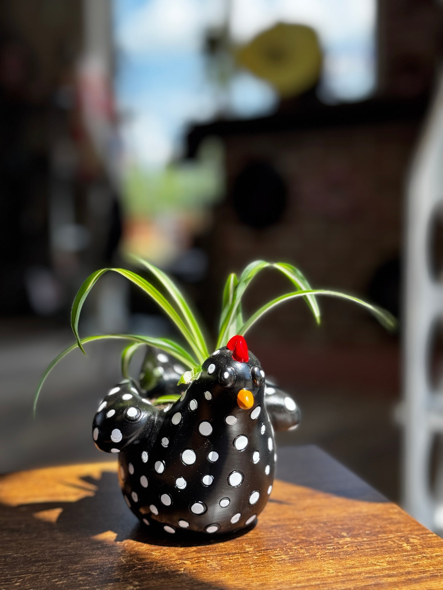 Black Chicken Planter