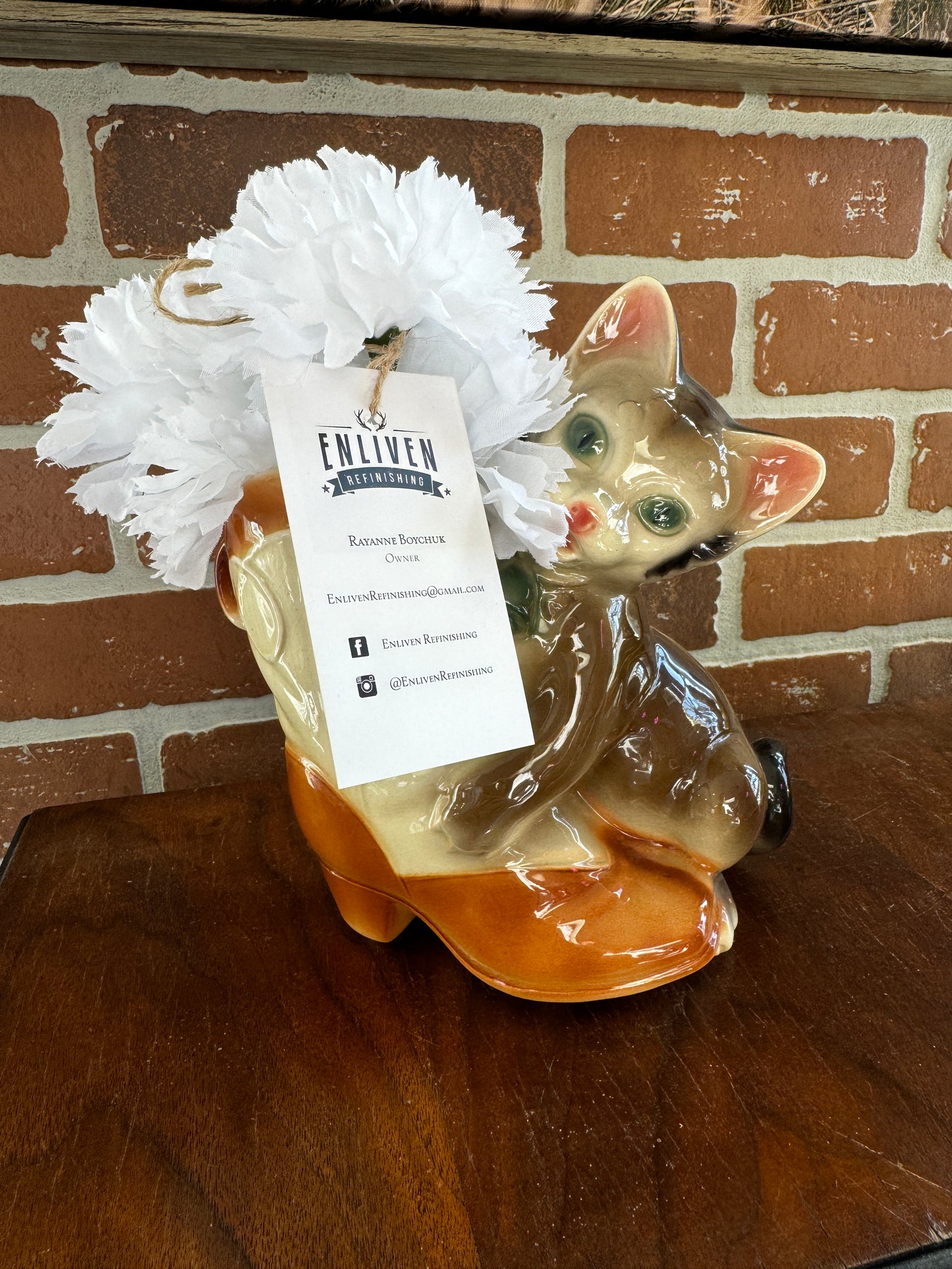 Cat with Cowboy Boot