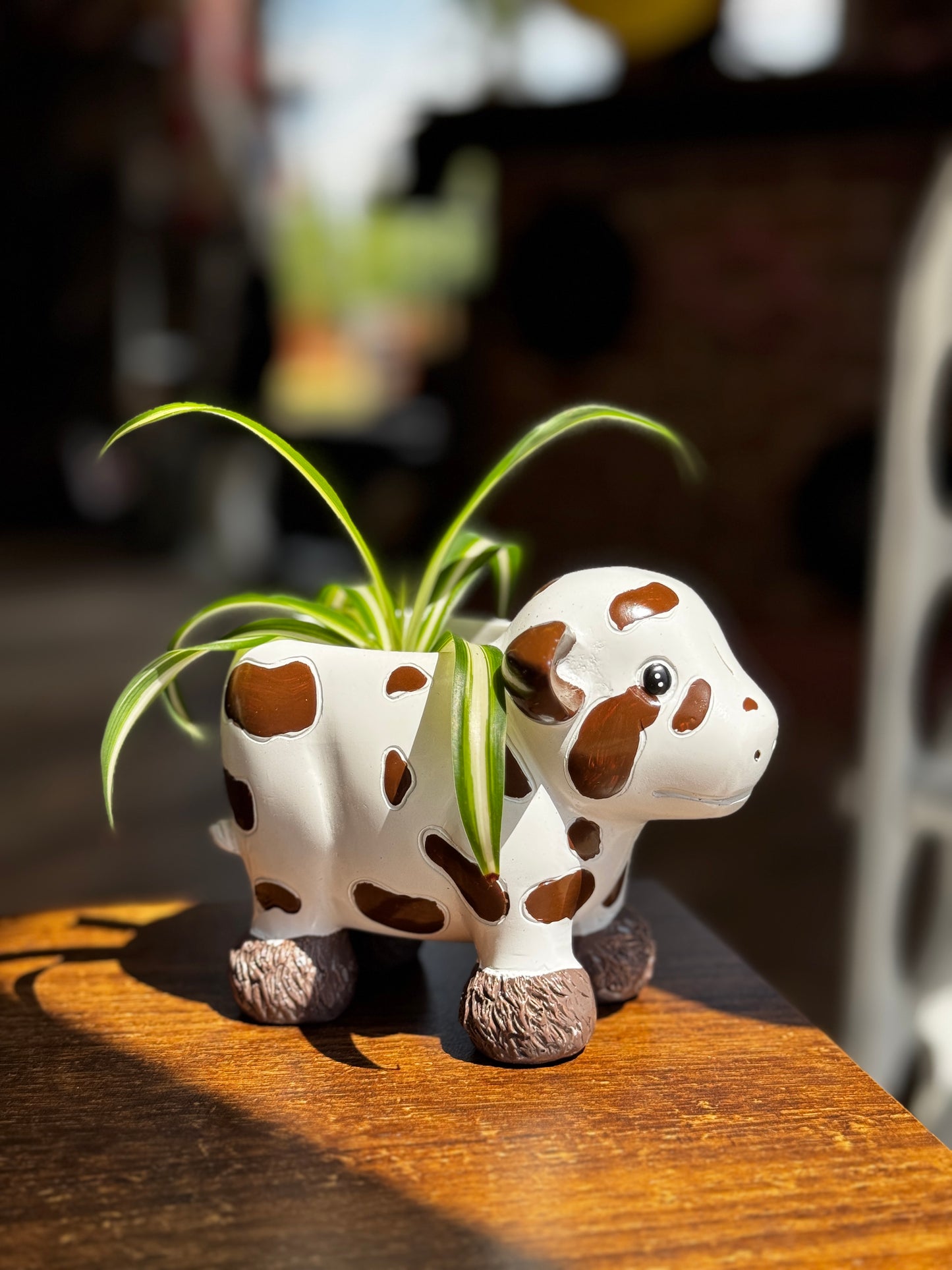 White Cow Planter