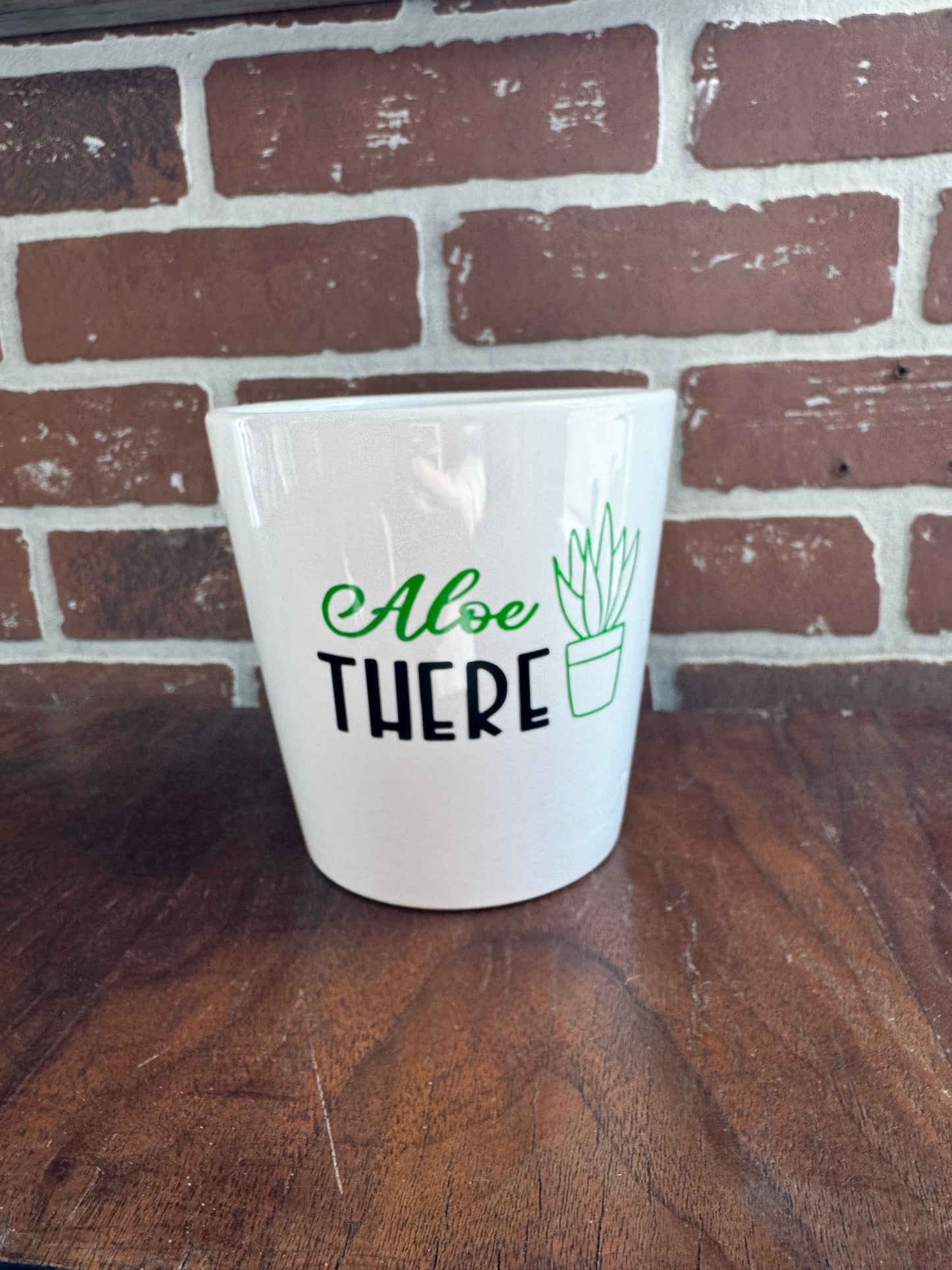 Aloe There Plant Pot