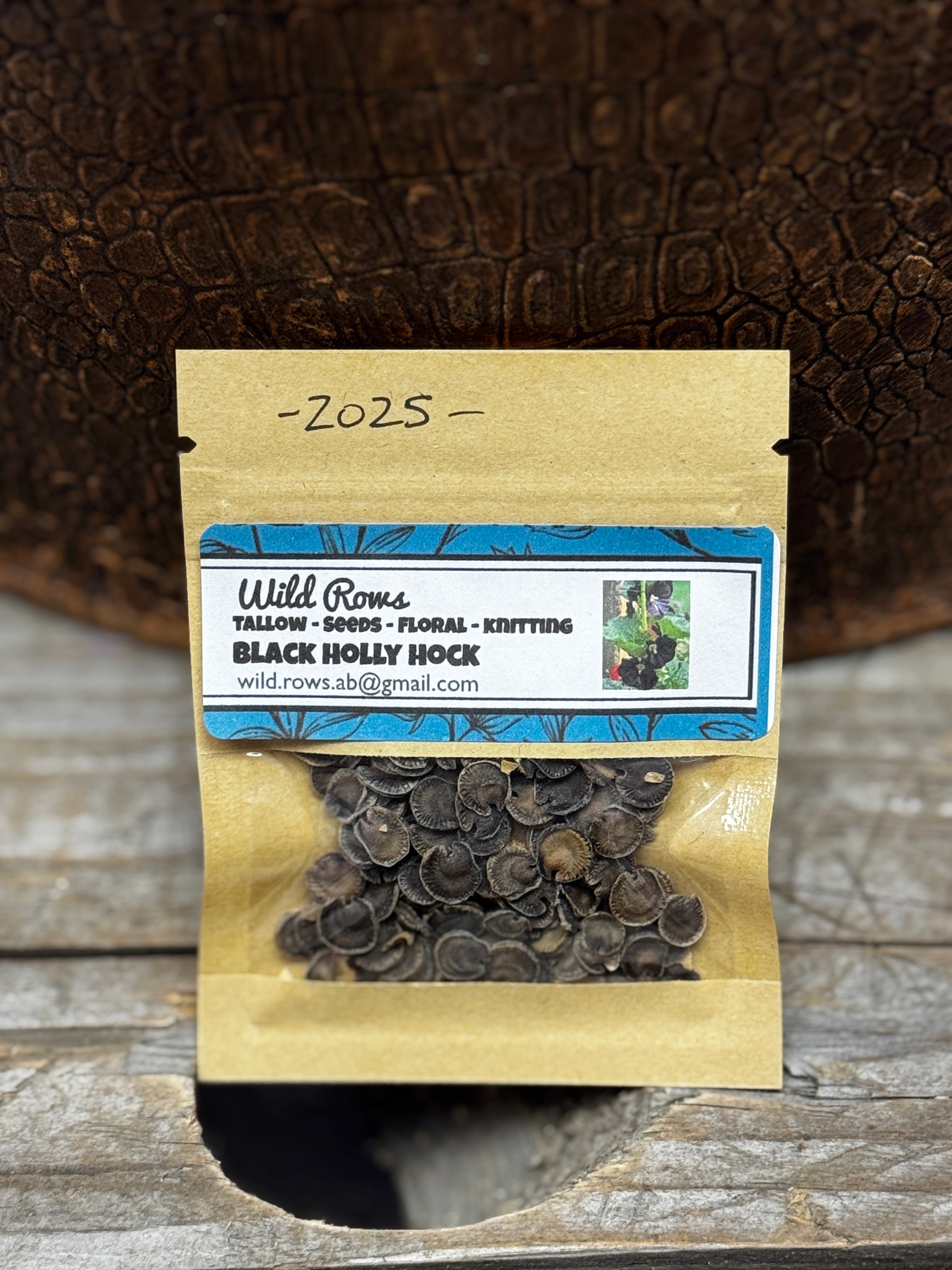 Black Holly Hock Seeds