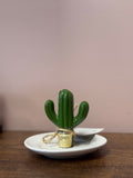 Cactus Ring Holder