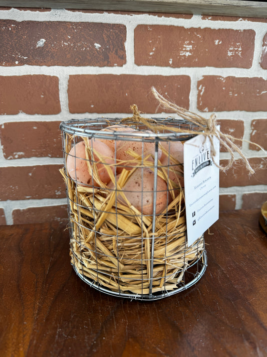 Egg Nest