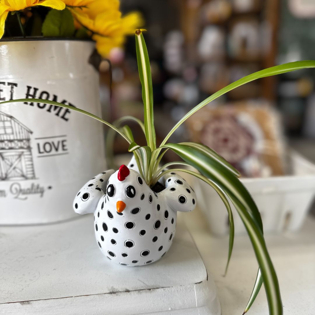 White Chicken Planter