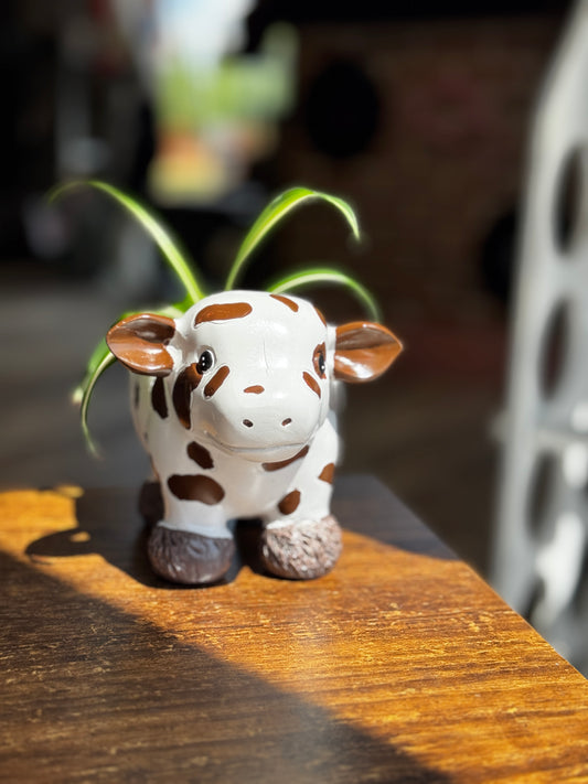 White Cow Planter