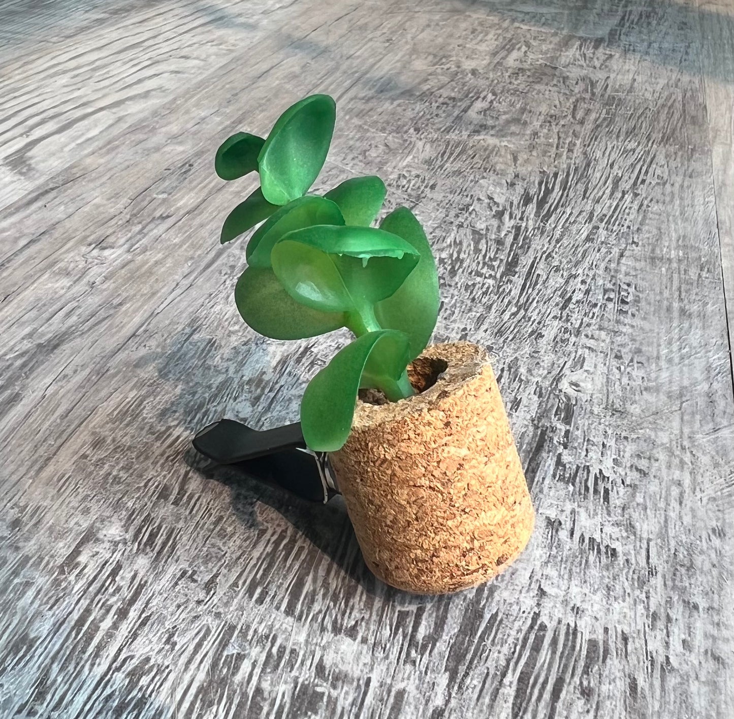 Jade Plant Car Vent Clip